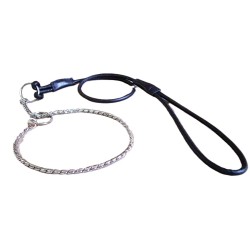 Show dog collar