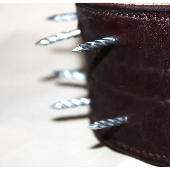 bite protection collar