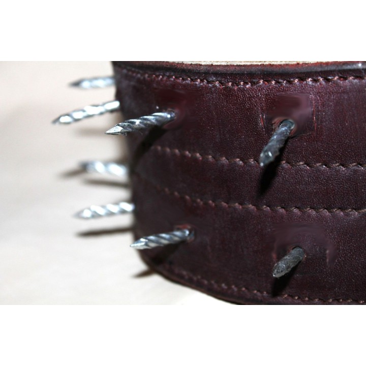bite protection collar