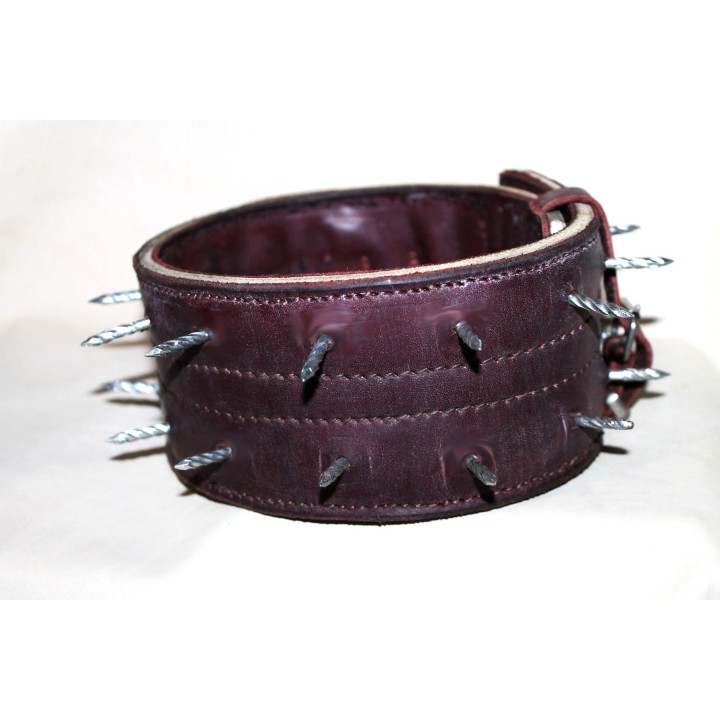 bite protection collar