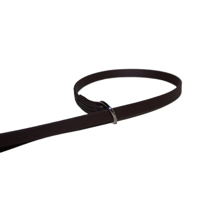 leash for dog show