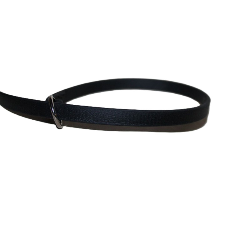leash for dog show