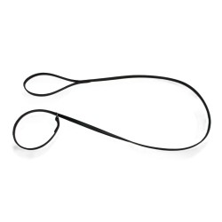 leash for dog show