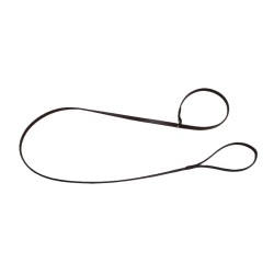 leash for dog show