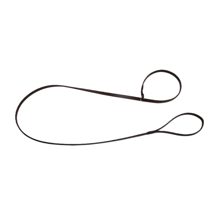 leash for dog show