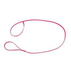 leash for dog show