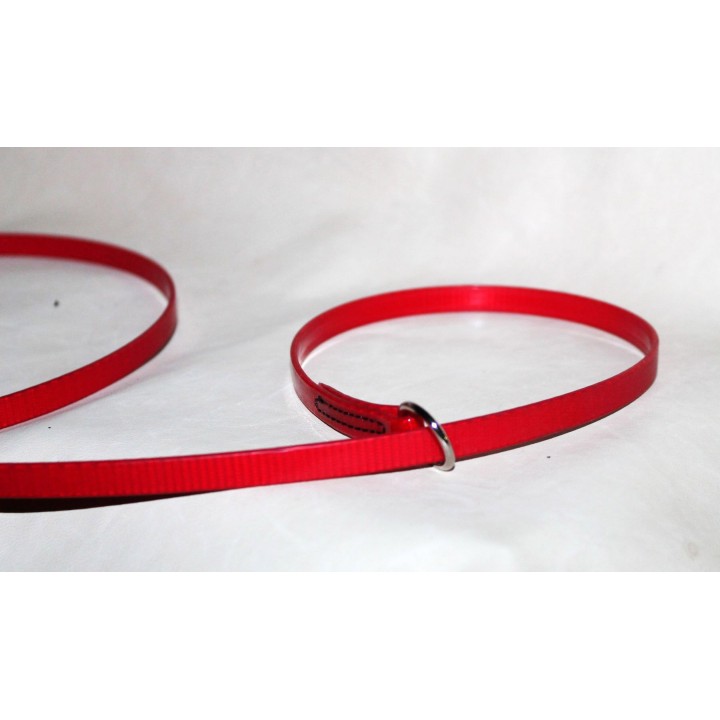 leash for dog show