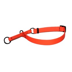 biothane collar for large dogs