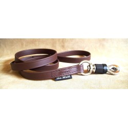biothane leash for molossian dogs