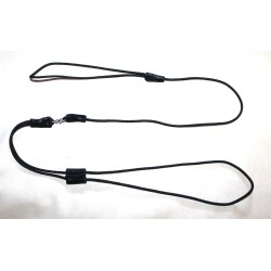 dog show rope leash and collar