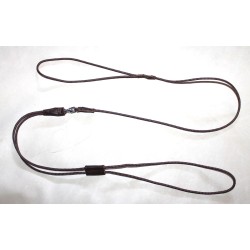 dog show rope leash and collar
