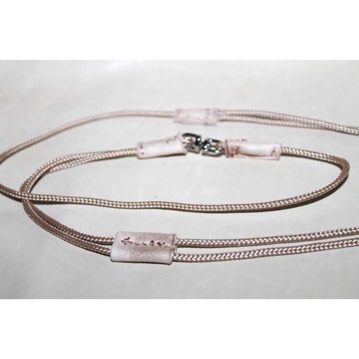 dog show rope leash and collar