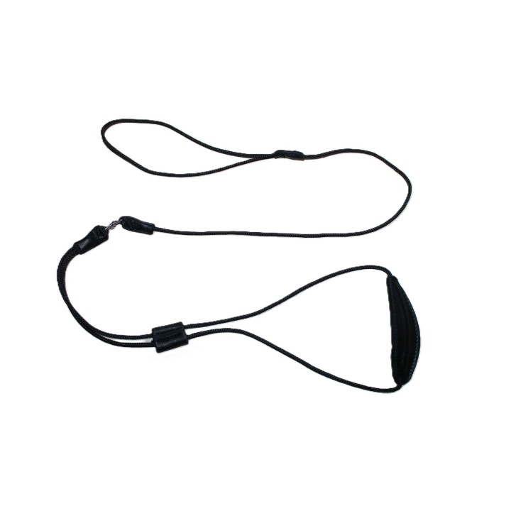 dog show rope leash and collar