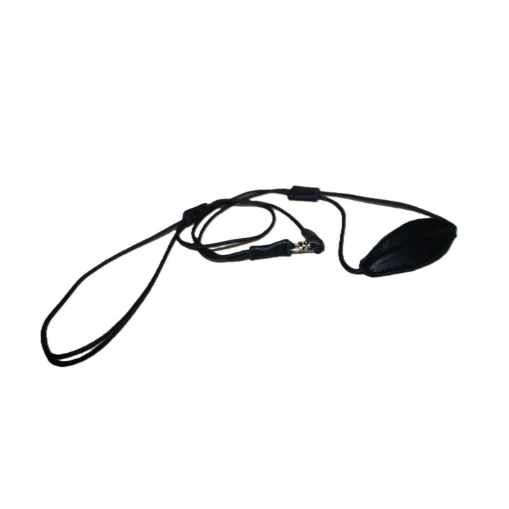 dog show rope leash and collar