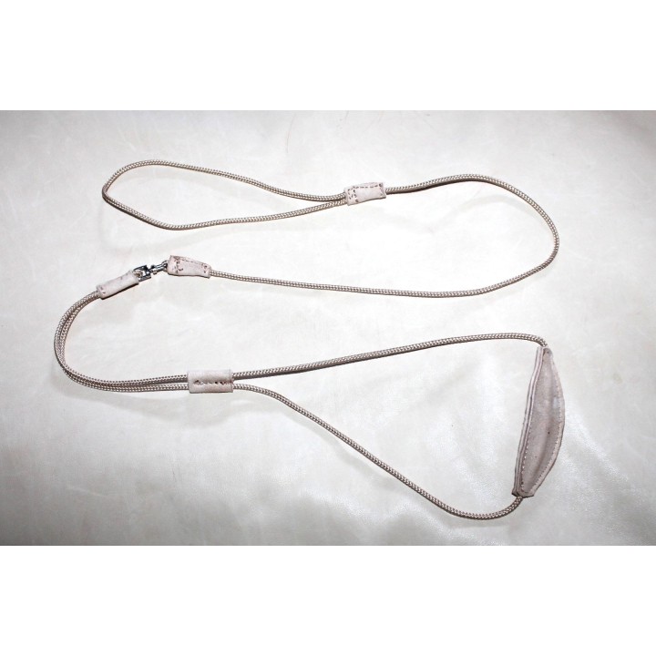 dog show rope leash and collar