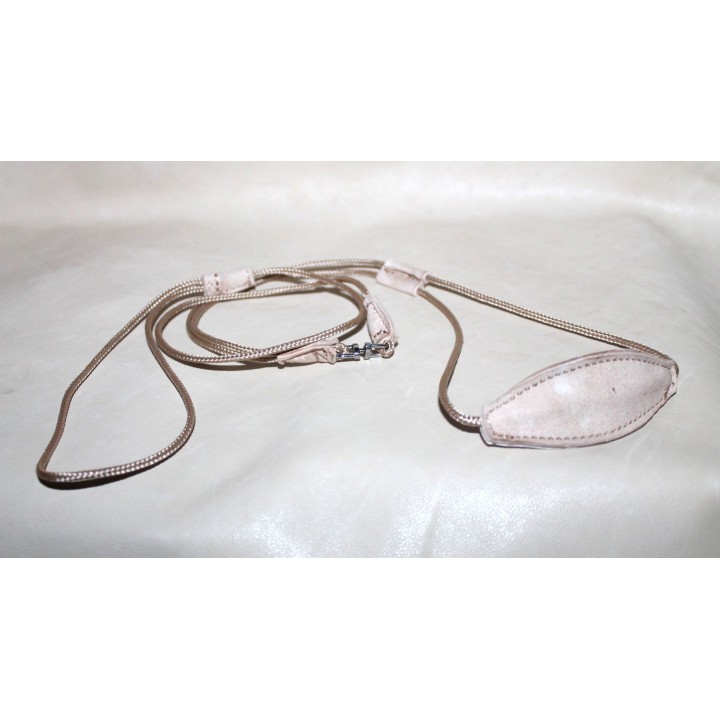 dog show rope leash and collar