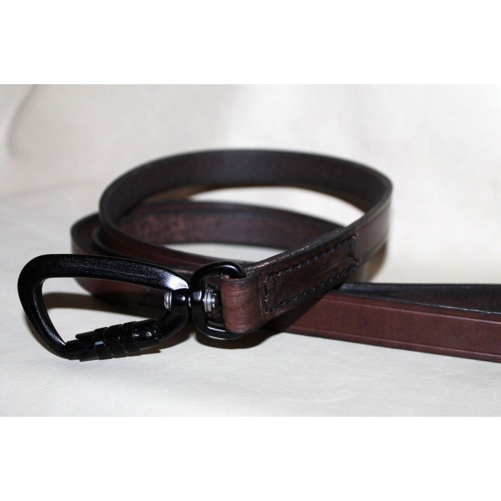 leather leash for dogs