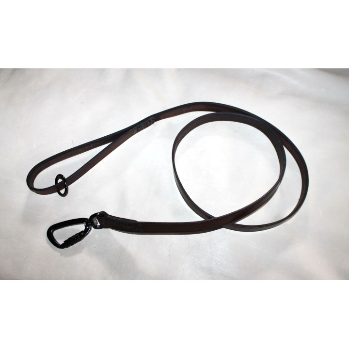 leather leash for dogs