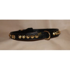 Collare  Staffordshire Bull Terrier