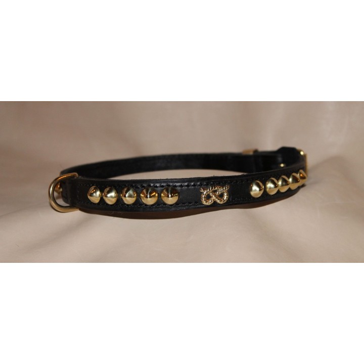 Collar Staffy 