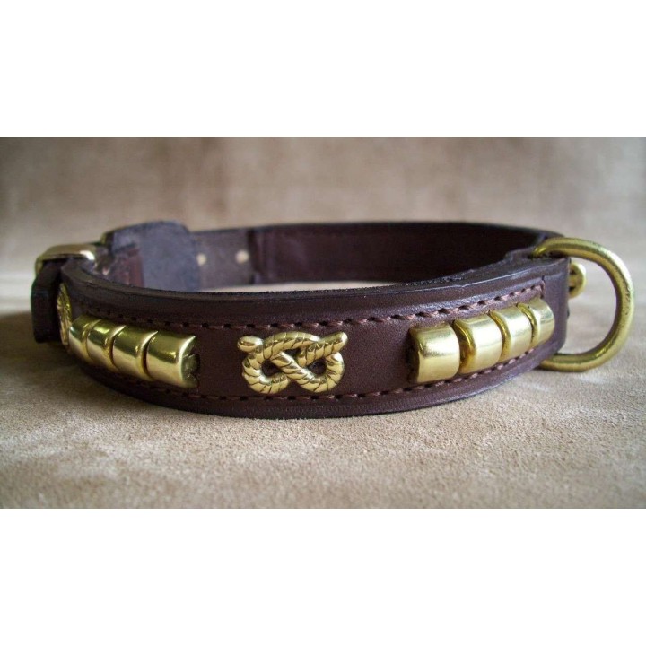 Collar Staffy