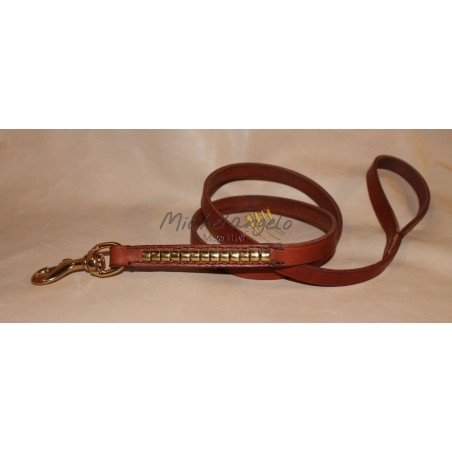 Guinzaglio  per Staffordshire Bull Terrier