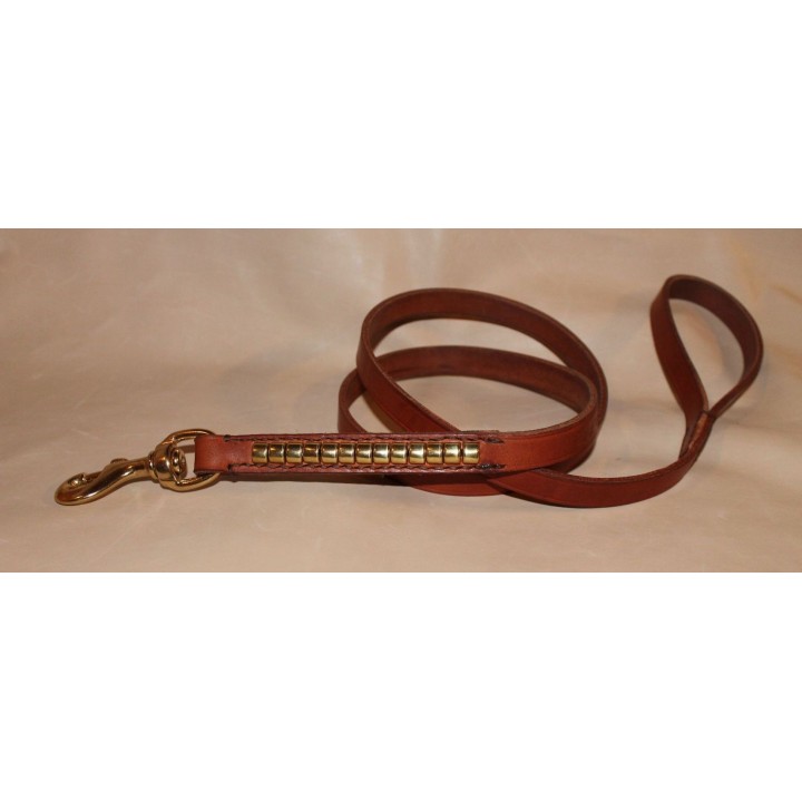 Leash  for  Staffordshire  Bull  Terrier