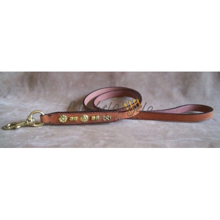 Guinzaglio  per Staffordshire Bull Terrier