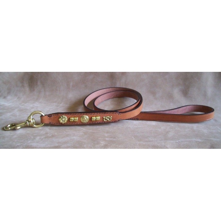 Leash  for  Staffordshire  Bull  Terrier