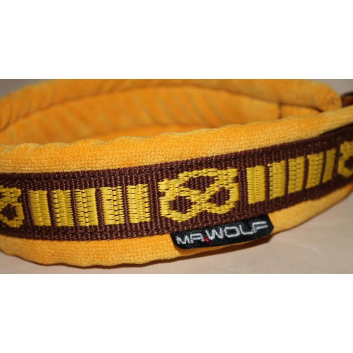 Nylon collar Staffordshire Bull Terrier