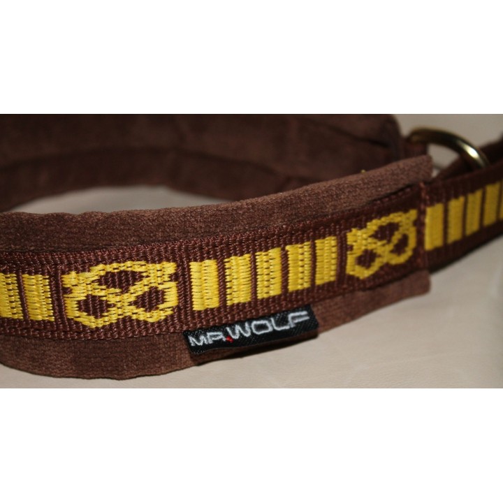 Nylon collar Staffordshire Bull Terrier