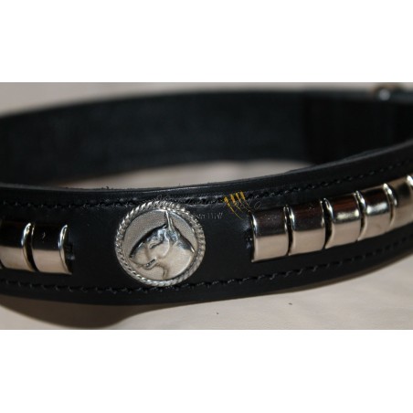 Leather collar for Bull Terrier