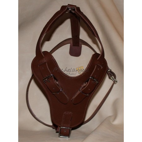 Hoover leather harness