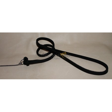 Leash with leather Loop Expo