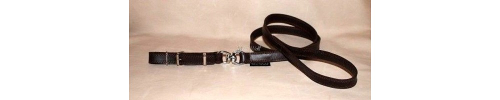 leashes for greyhounds