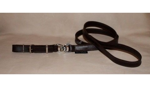 leashes for greyhounds