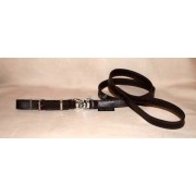 Greyhound leashes