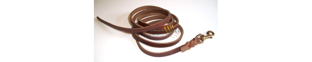 long leashes and leashes for sport dog training
