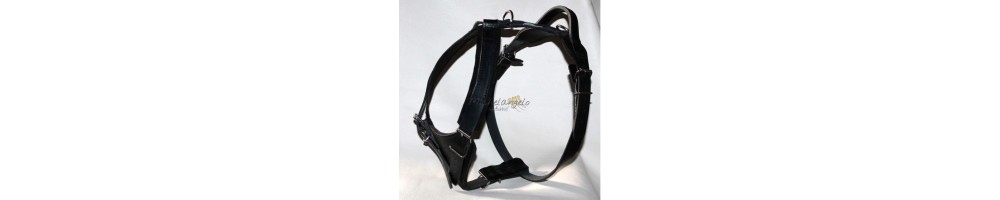 dog harness