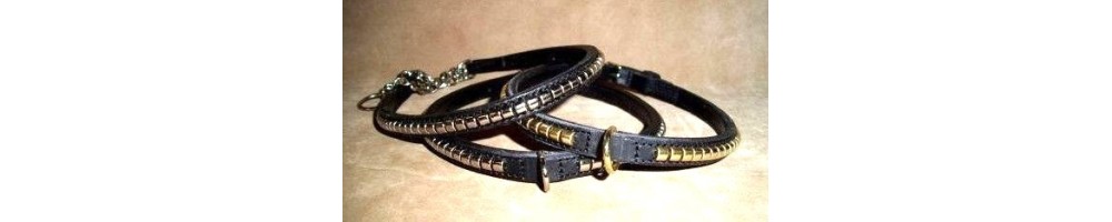Leather collar show for staffordshire bull terrier