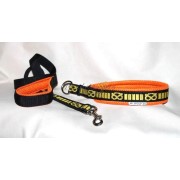 Nylon collars and leashes Staffordshire Bull Terrier