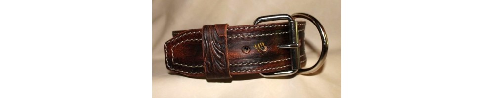 collars for big dogs