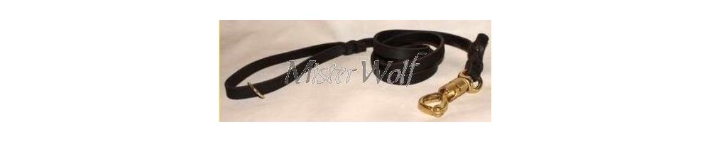 leash for big dogs