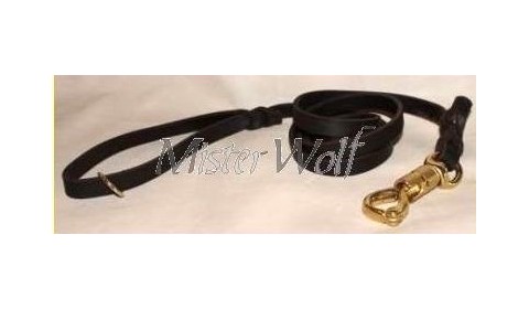 guinzagli per cani di grossa taglia