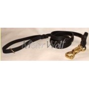 leash for big dogs