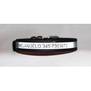 Engraved- ollars for dogs