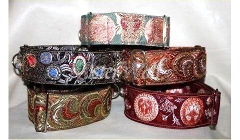 collari per levriero a martingala fascia