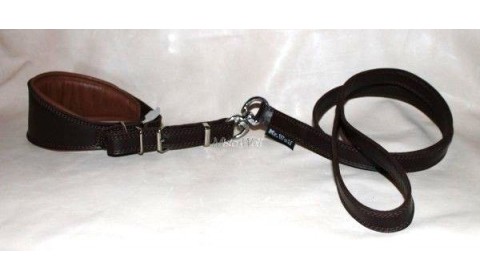 collare e guinzaglio senza moschettone per levrieri