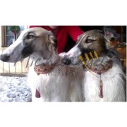 Collars for Borzoi