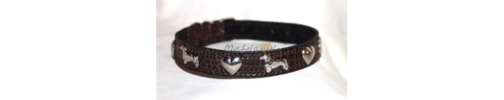 dachshund collars and harness